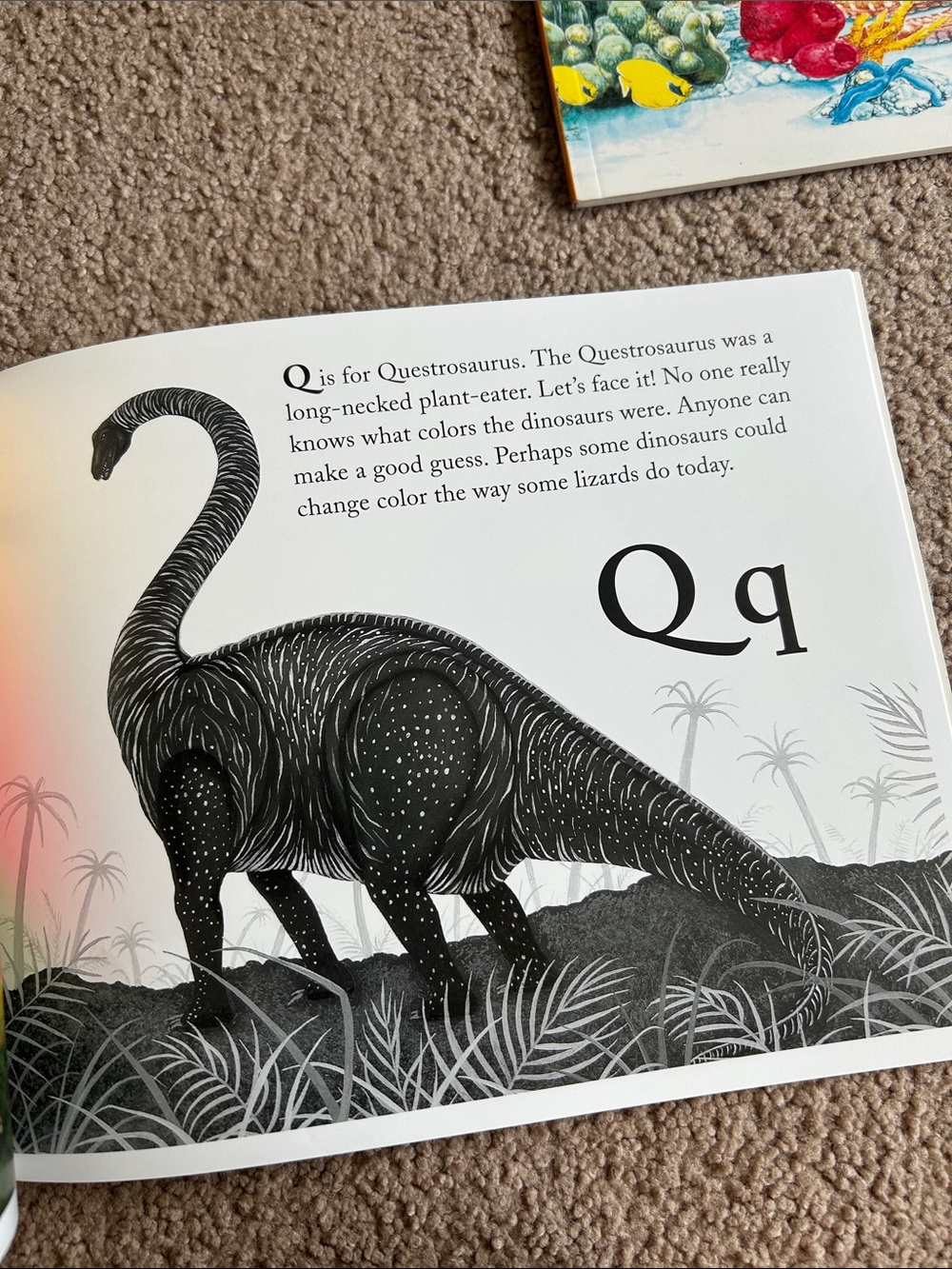 Alphabet Book Collection - Picture 5 of 8